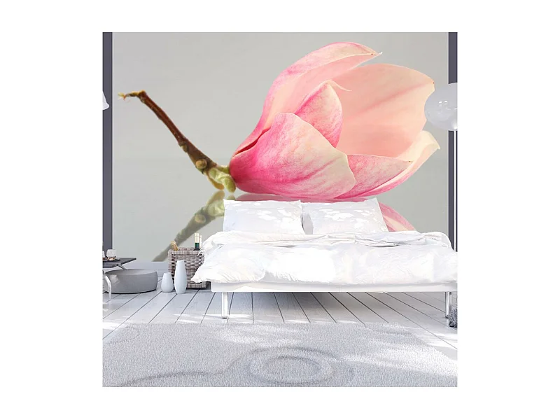 Papier Peint "Fleur de Magnolia Solitaire" 193 x 250 cm