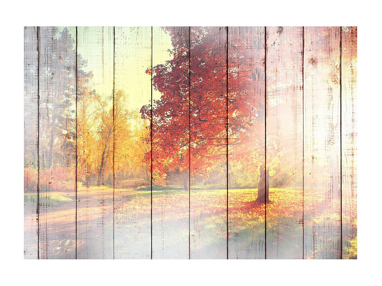 Papier Peint "Autumn Sun" 105 x 150 cm