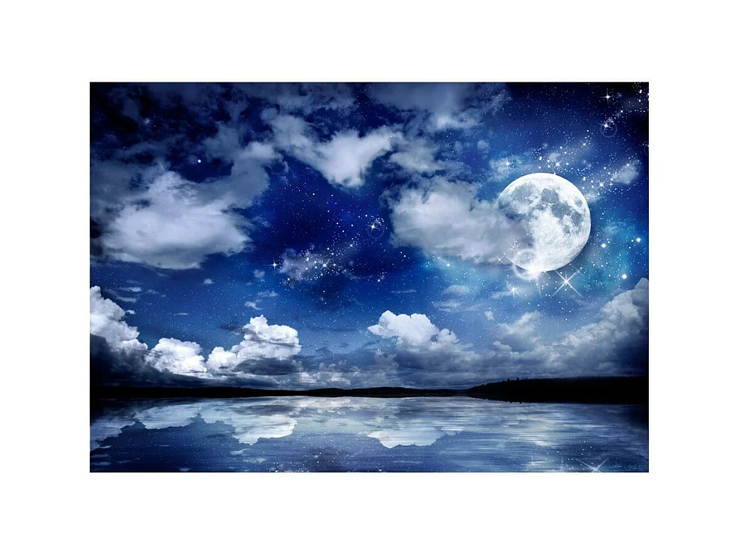 Papier Peint "Nuit Magique" 245 x 350 cm