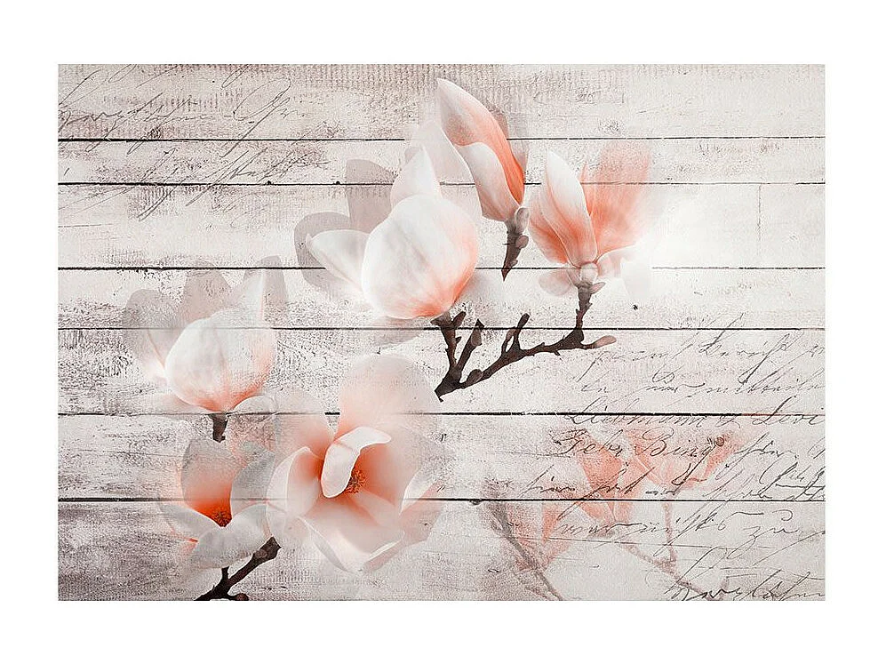 Papier Peint "Subtlety of the Magnolia" 245 x 350 cm