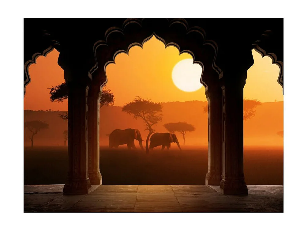 Papier Peint "Hear Africa" 231 x 300 cm