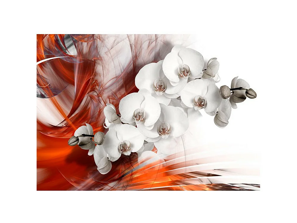 Papier Peint "Orchid on Fire II" 105 x 150 cm