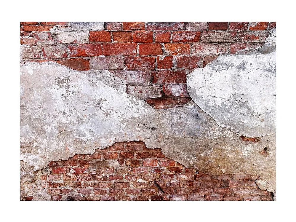 Papier Peint "Spirits of the Past" 245 x 350 cm