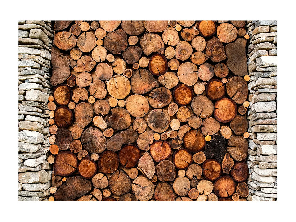 Papier Peint "Wooden Gate" 245 x 350 cm