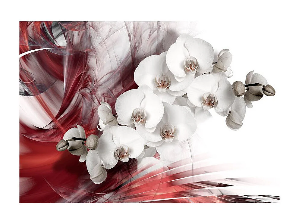 Papier Peint "Orchid in Red" 70 x 100 cm