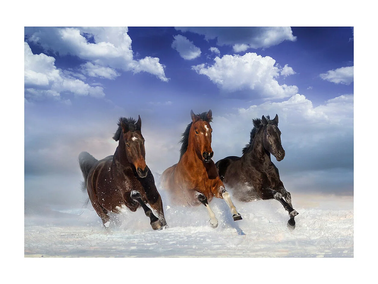 Papier Peint "Horses in the Snow" 70 x 100 cm
