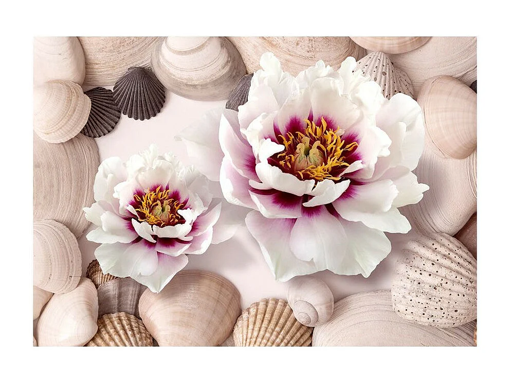 Papier Peint "Flowers & Shells" 175 x 250 cm