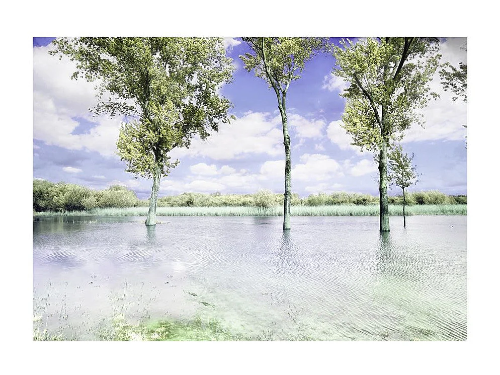 Papier Peint "Spring Scenery" 140 x 200 cm