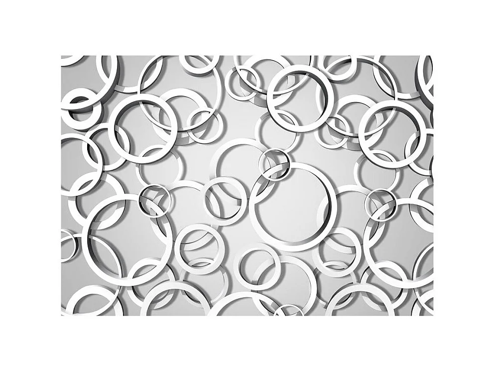 Papier Peint "Vicious Circles" 245 x 350 cm