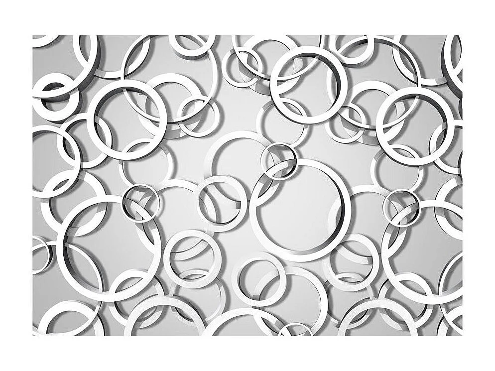 Papier Peint "Vicious Circles" 245 x 350 cm