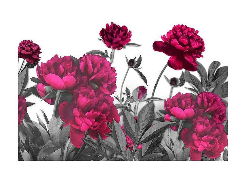 Papier Peint "Lush Meadow" 210 x 300 cm