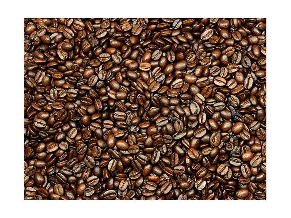 Papier Peint "Coffee Heaven" 231 x 300 cm