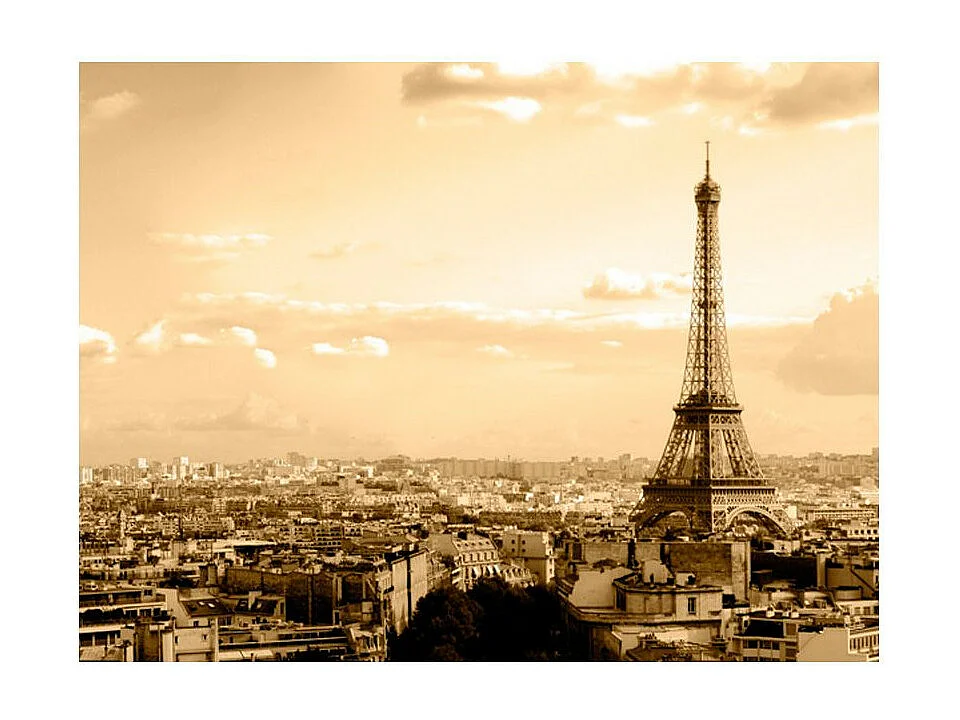 Papier Peint "Paris Panorama" 231 x 300 cm