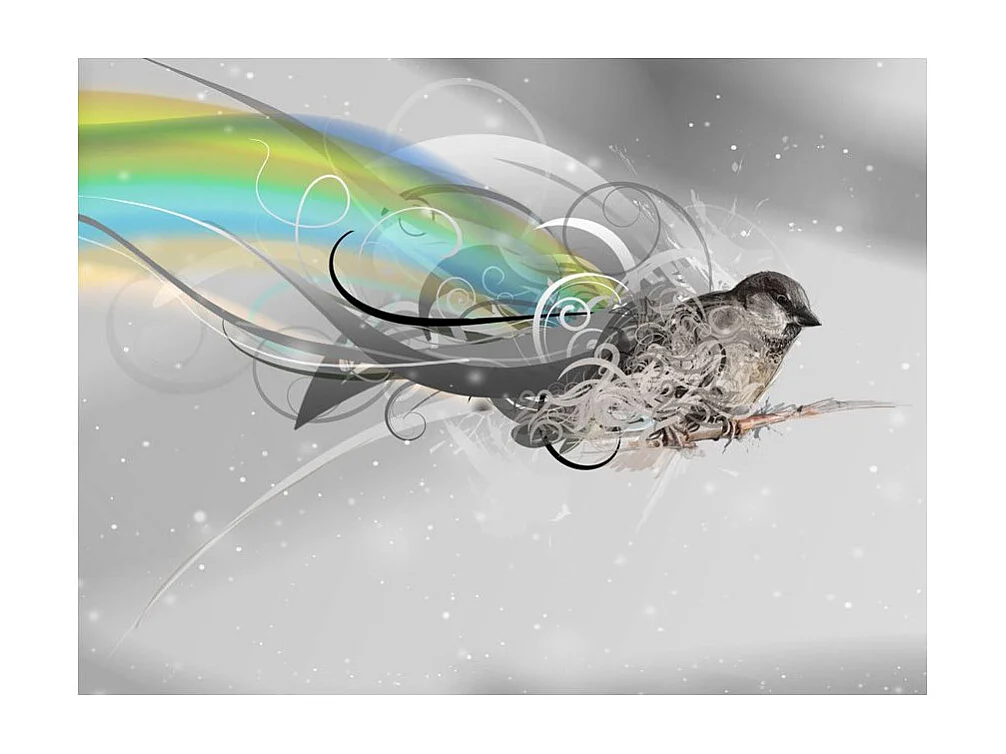 Papier Peint II "Another Dimension" 270 x 350 cm