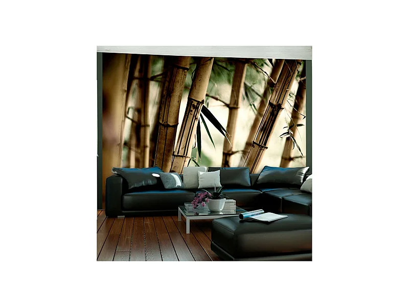 Papier Peint "Fog & Bamboo Forest" 270 x 350 cm