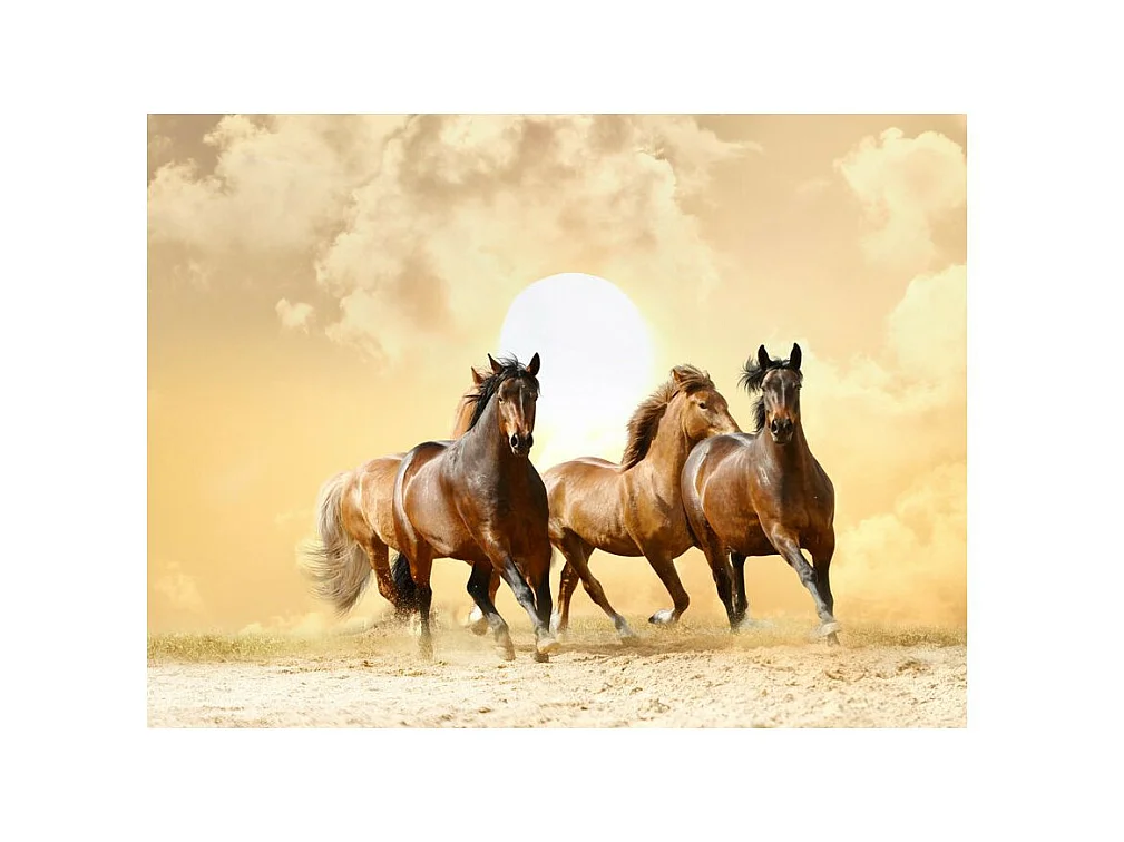Papier Peint "Chevaux au Galop" 154 x 200 cm