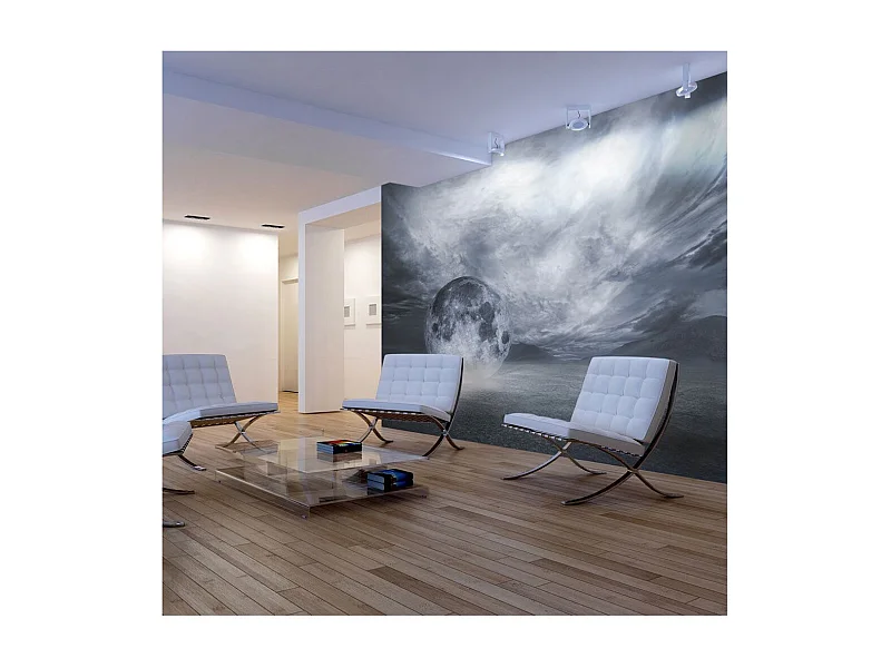 Papier Peint "La Planète Perdue" 154 x 200 cm