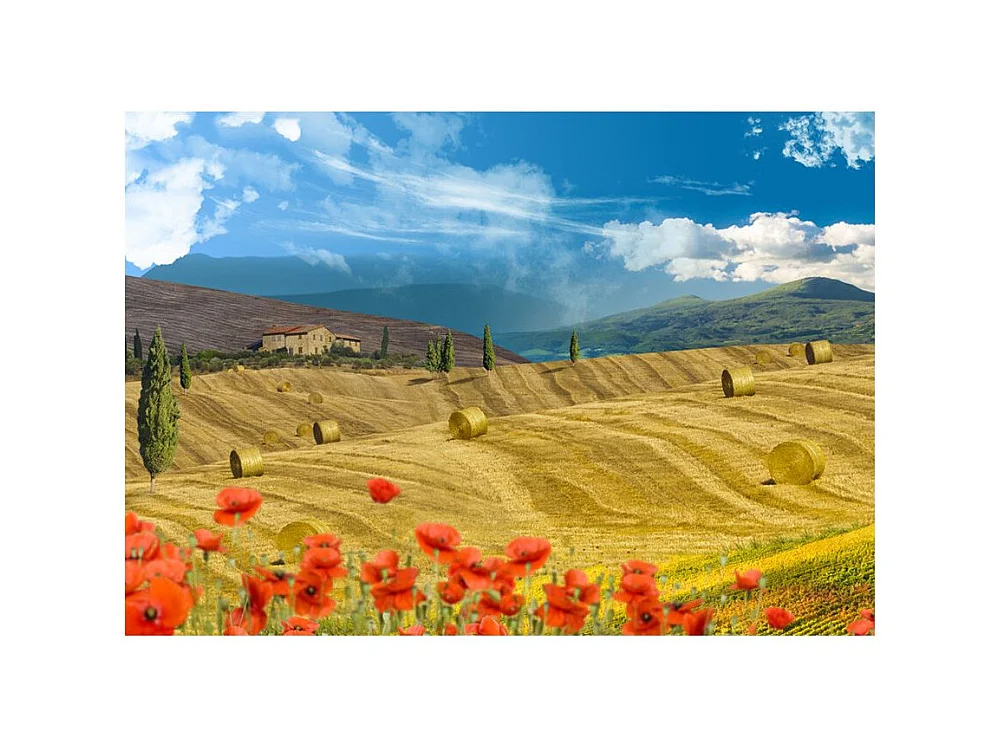 Papier Peint "Autumn Landscape" 70 x 100 cm