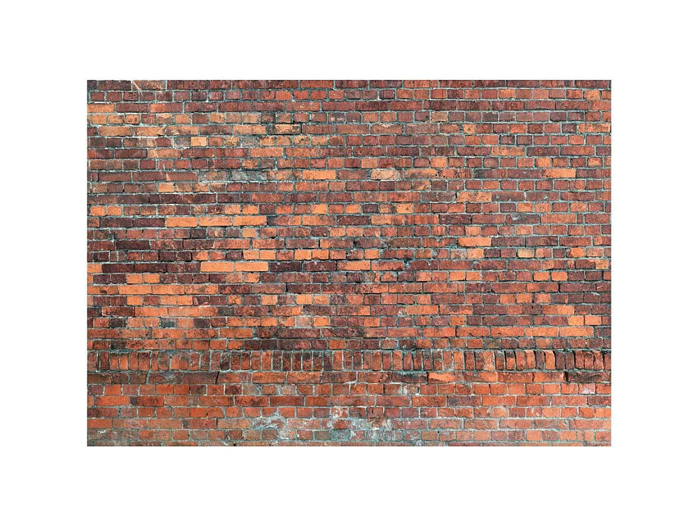 Papier Peint "Vintage Wall Red Brick" 280 x 400 cm