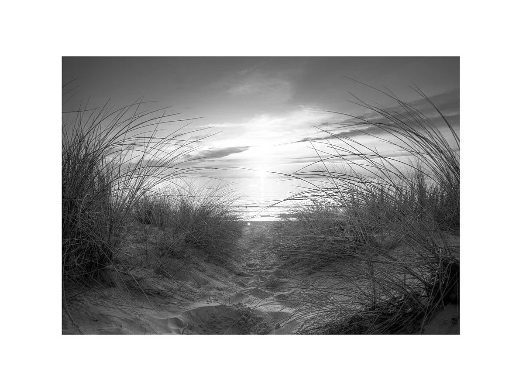 Papier Peint "Plage Noir & Blanc" 140 x 200 cm
