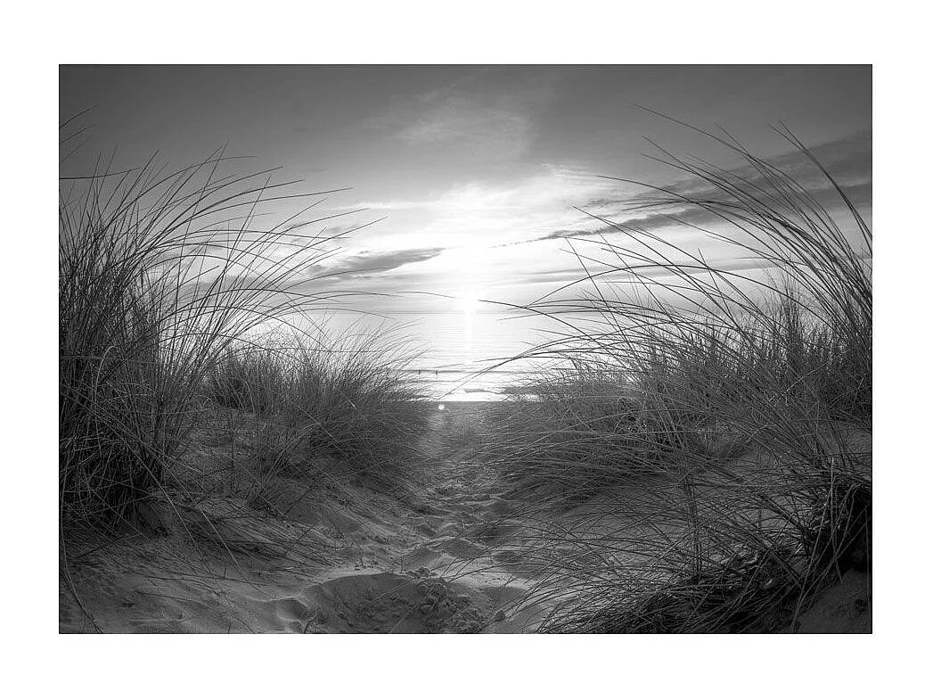 Papier Peint "Plage Noir & Blanc" 140 x 200 cm