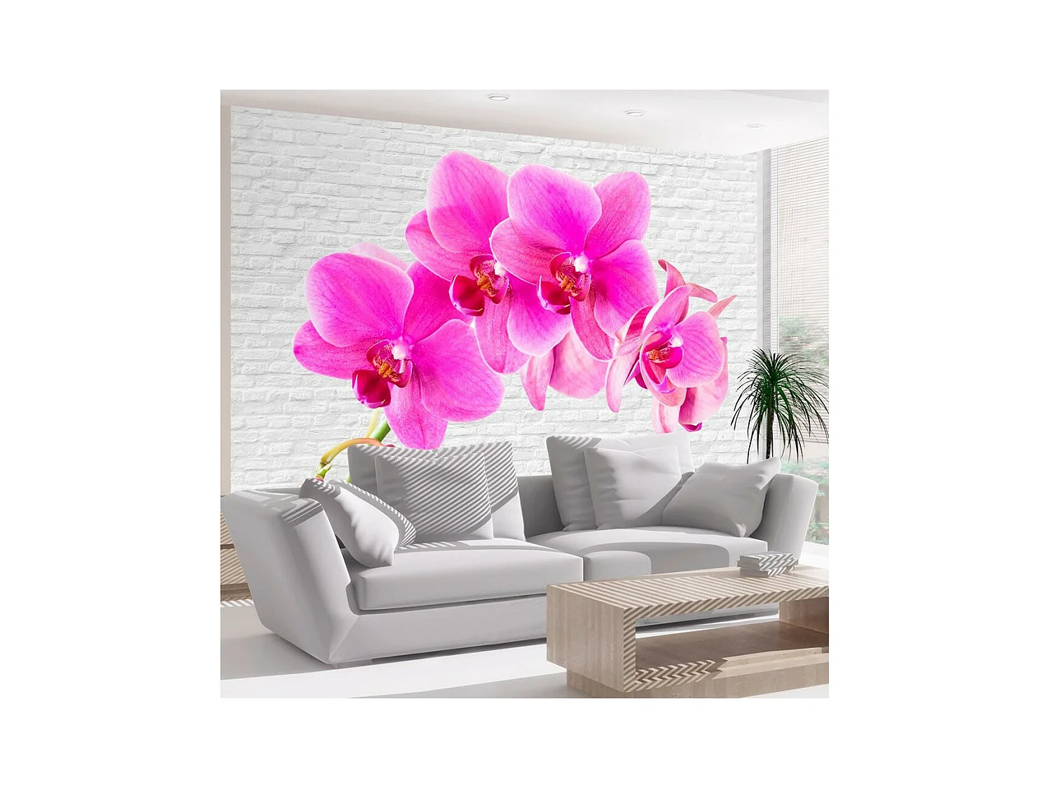 Papier Peint "Pink Excitation" 245 x 350 cm