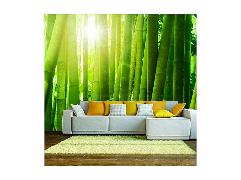 Papier Peint "Soleil & Bambou" 193 x 250 cm