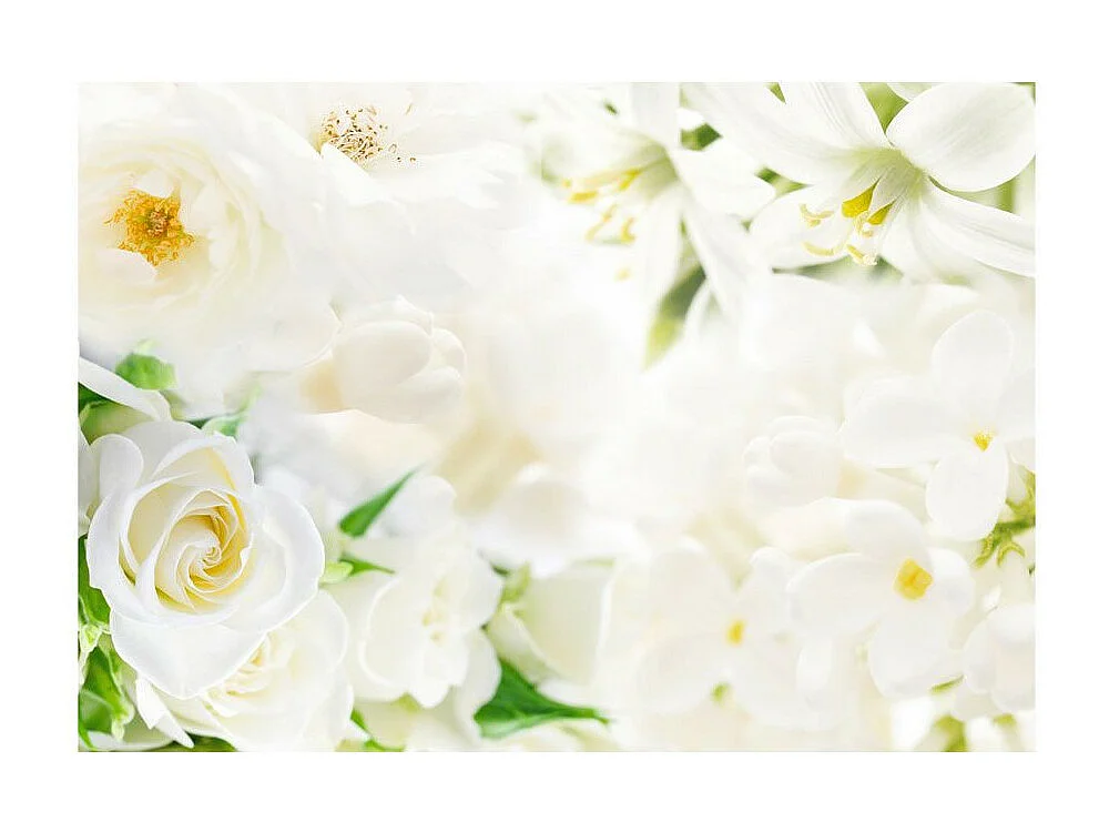 Papier Peint "White Sigh" 210 x 300 cm