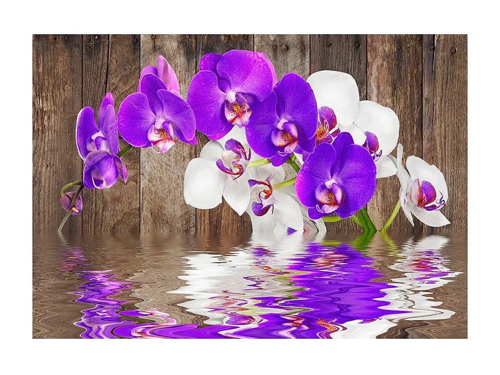 Papier Peint "Connection" 175 x 250 cm