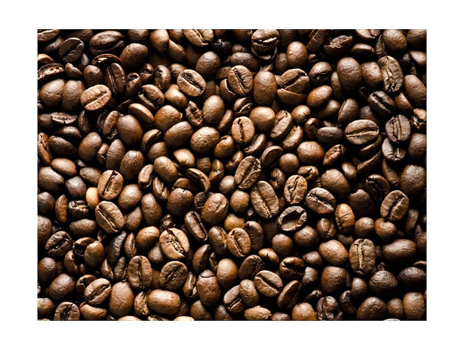 Papier Peint "Roasted Coffee Beans" 231 x 300 cm