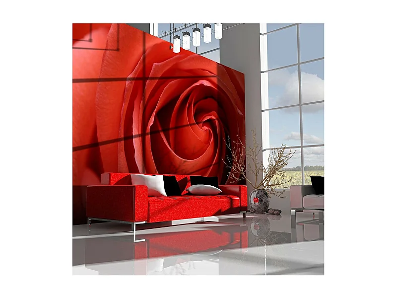 Papier Peint "L'éveil de la Rose" 231 x 300 cm