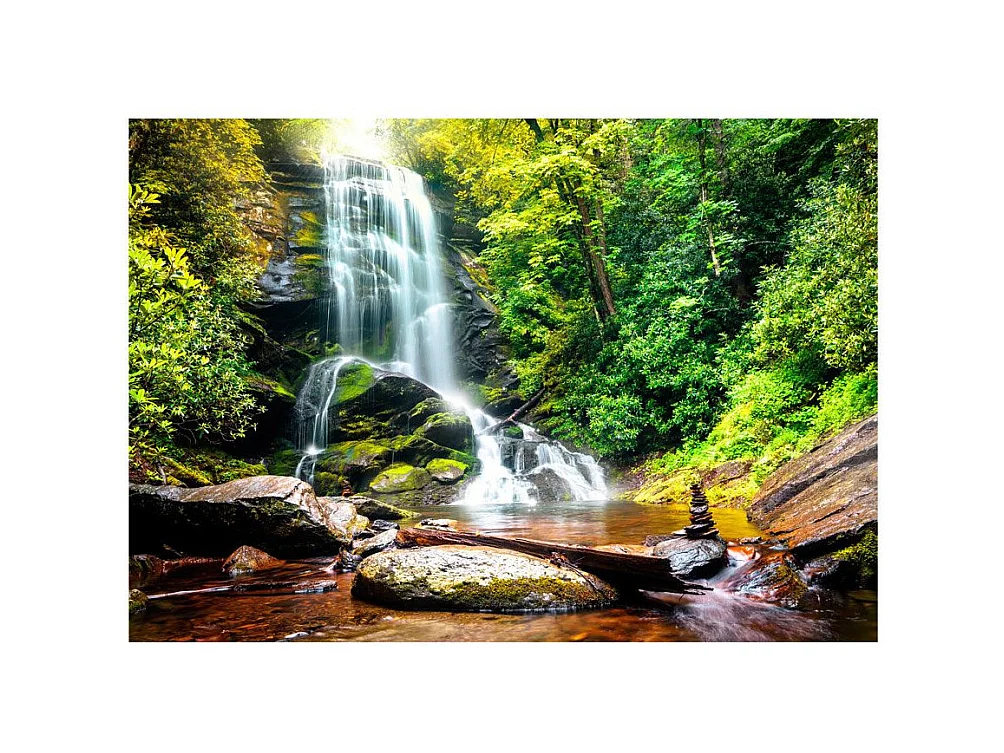 Papier Peint "Wonder of Nature" 70 x 100 cm