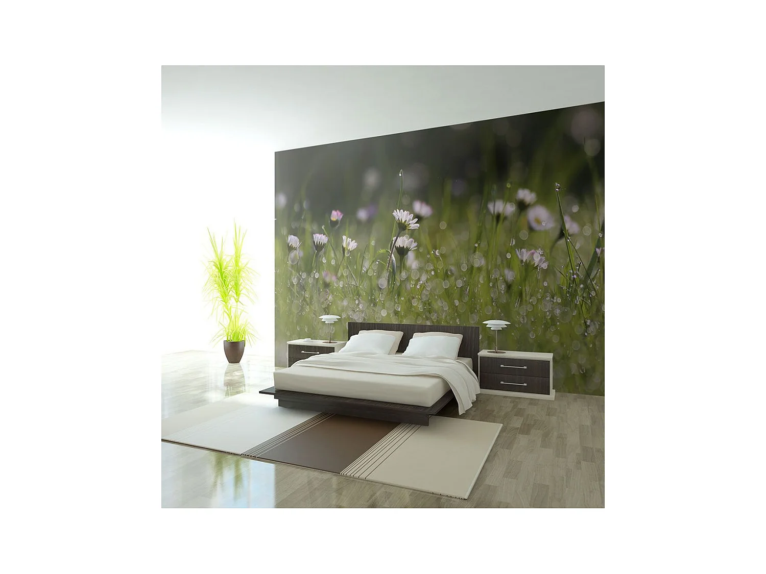 Papier Peint "Marguerites & la Rosée du Matin" 231 x 300 cm