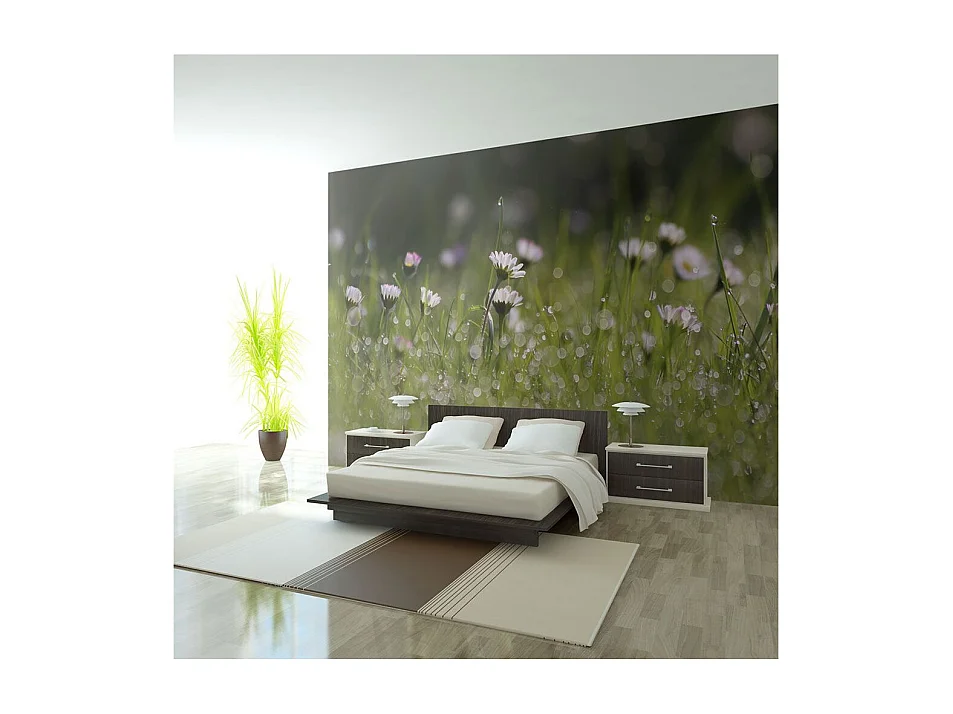 Papier Peint "Marguerites & la Rosée du Matin" 231 x 300 cm