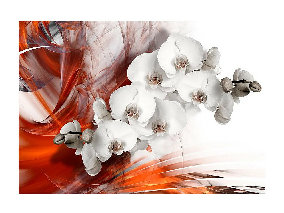 Papier Peint "Orchid on Fire II" 245 x 350 cm