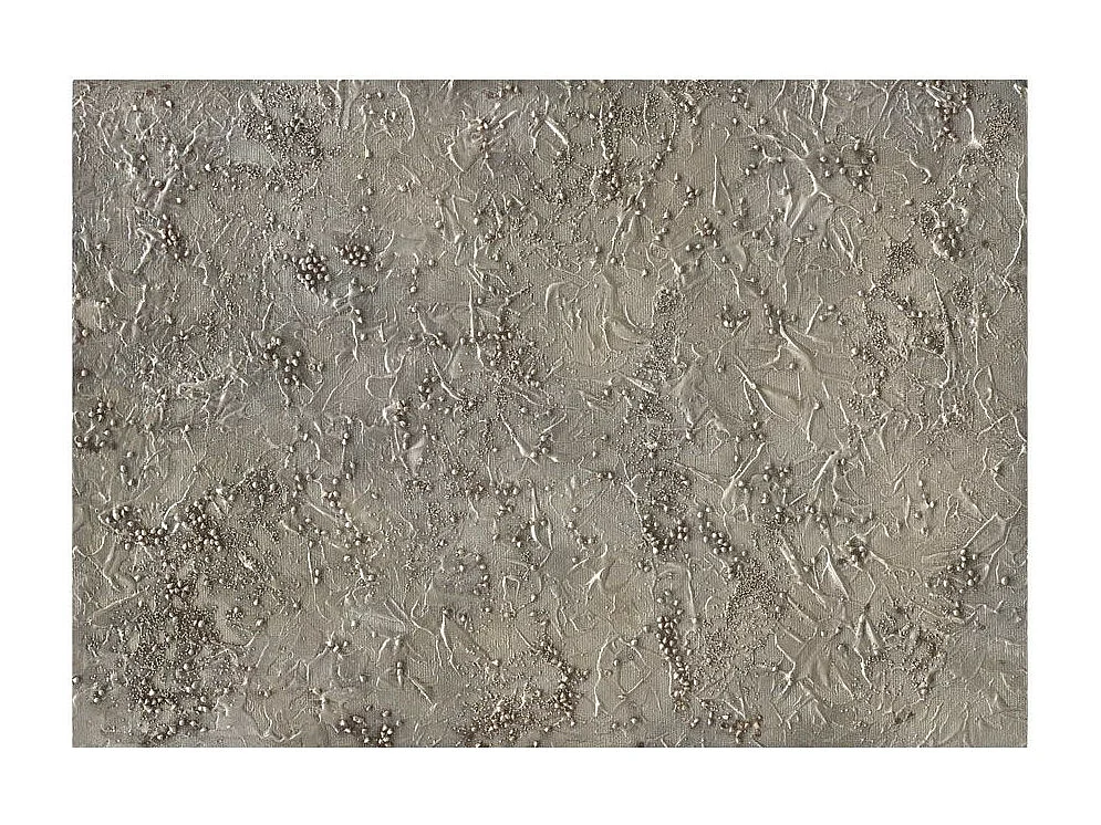 Papier Peint "Silver Serenade" 175 x 250 cm