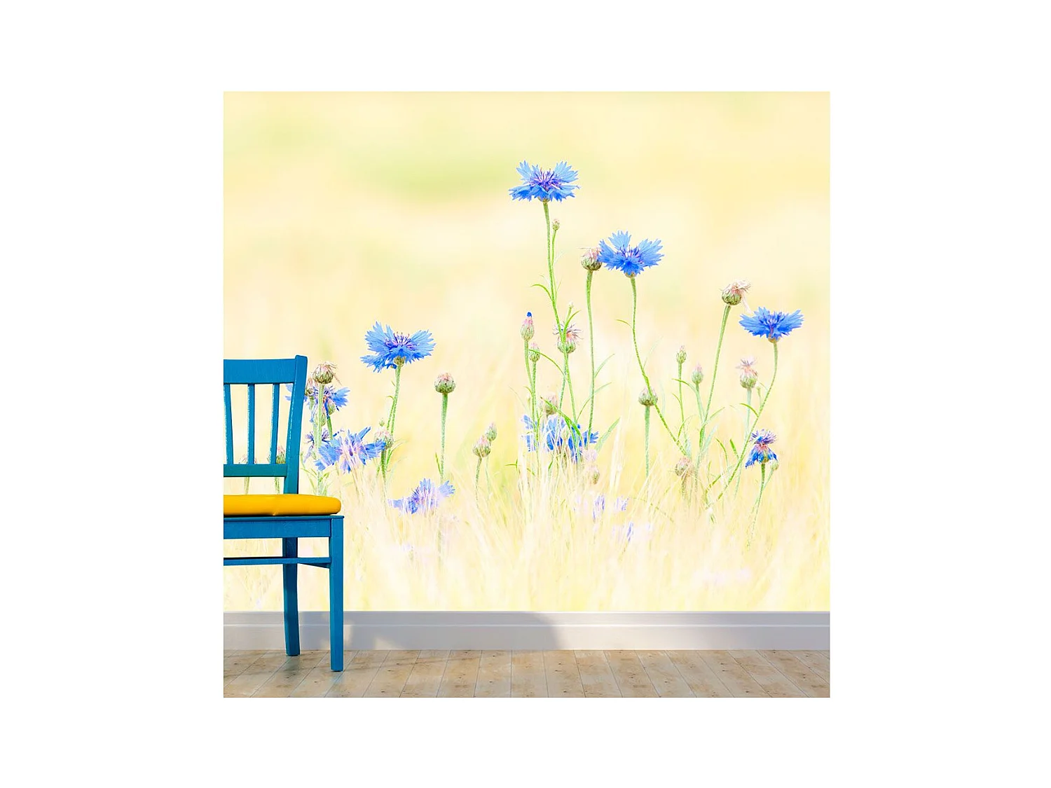 Papier Peint "Bleuets" 231 x 300 cm