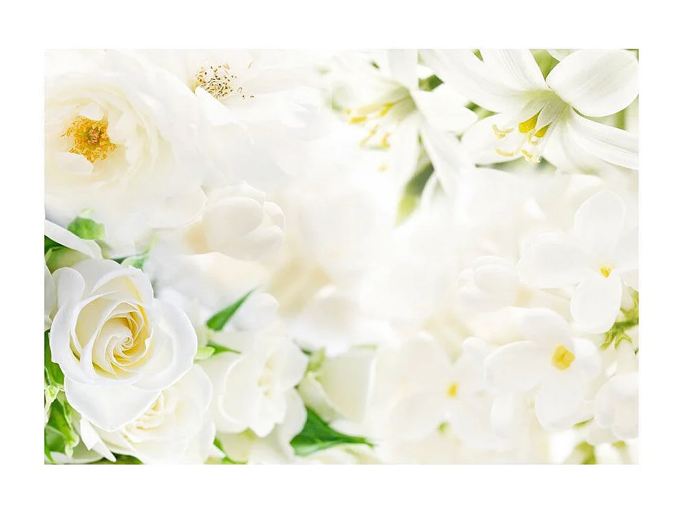 Papier Peint "White Sigh" 70 x 100 cm