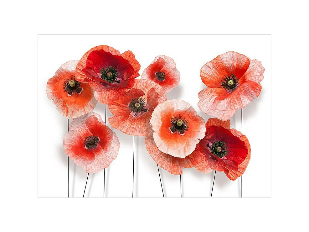 Papier Peint "Nine Poppies" 105 x 150 cm