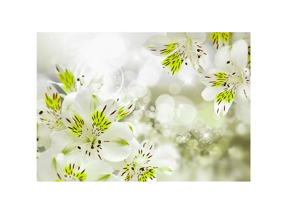 Papier Peint "Southern Princess" 140 x 200 cm