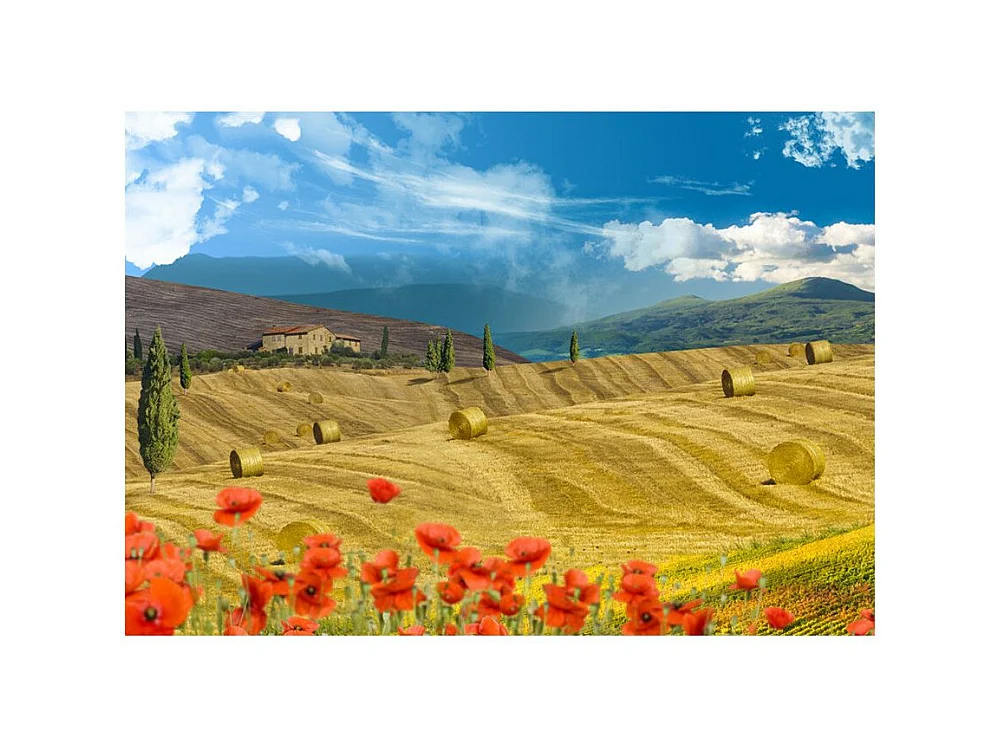 Papier Peint "Autumn Landscape" 245 x 350 cm