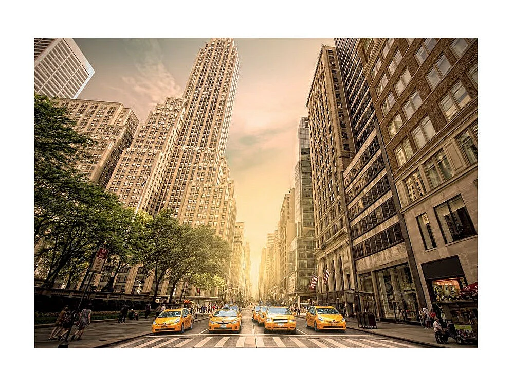 Papier Peint "In the Shadow of Skyscrapers" 210 x 300 cm