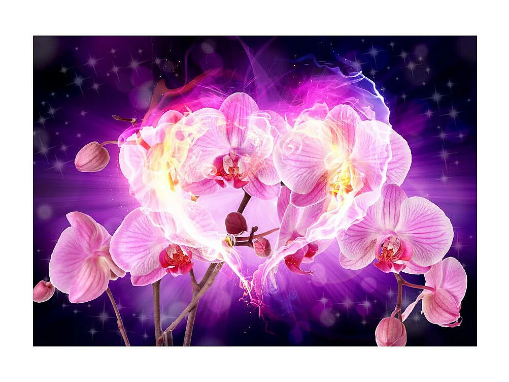 Papier Peint "Orchids in Flames" 140 x 200 cm
