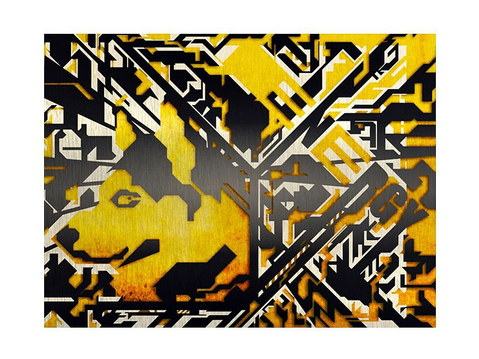 Papier Peint "Full of Energy" 231 x 300 cm