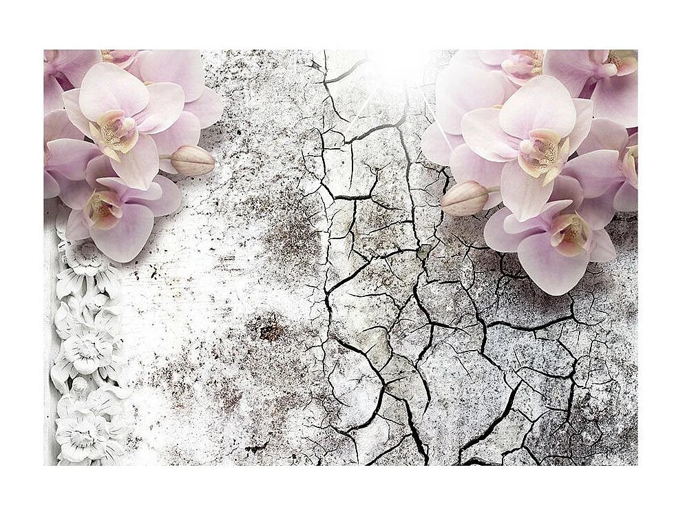 Papier Peint "Bright Red Orchids" 245 x 350 cm