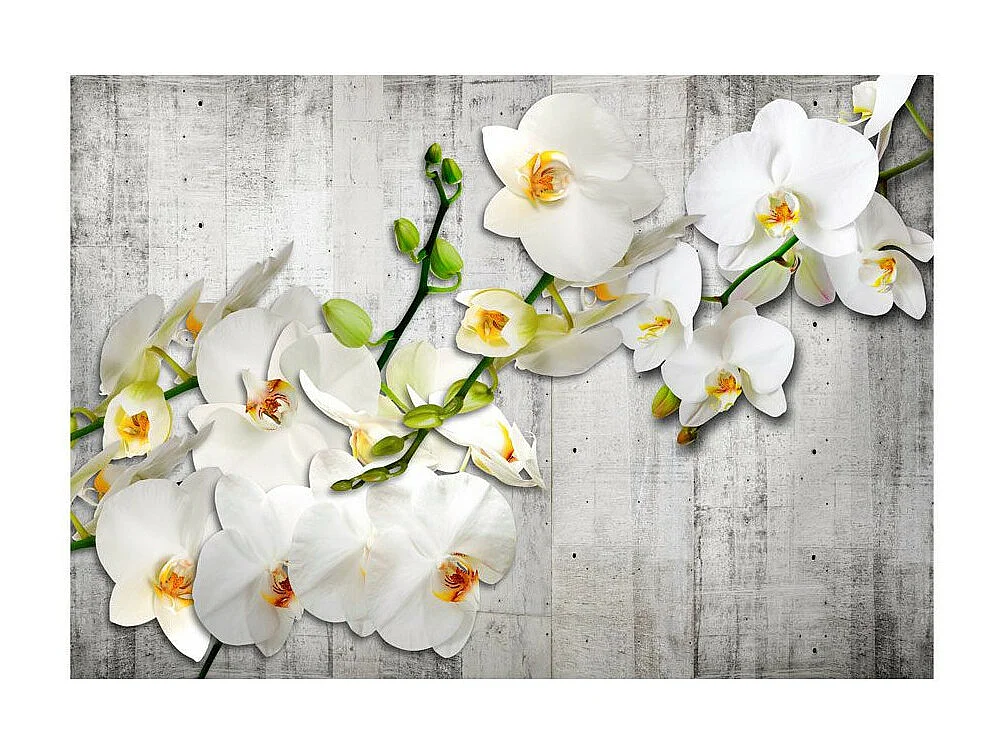 Papier Peint "With Saffron Accent" 210 x 300 cm