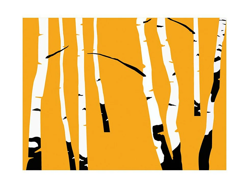 Papier Peint "Birches on the Orange Background" 270 x 350 cm