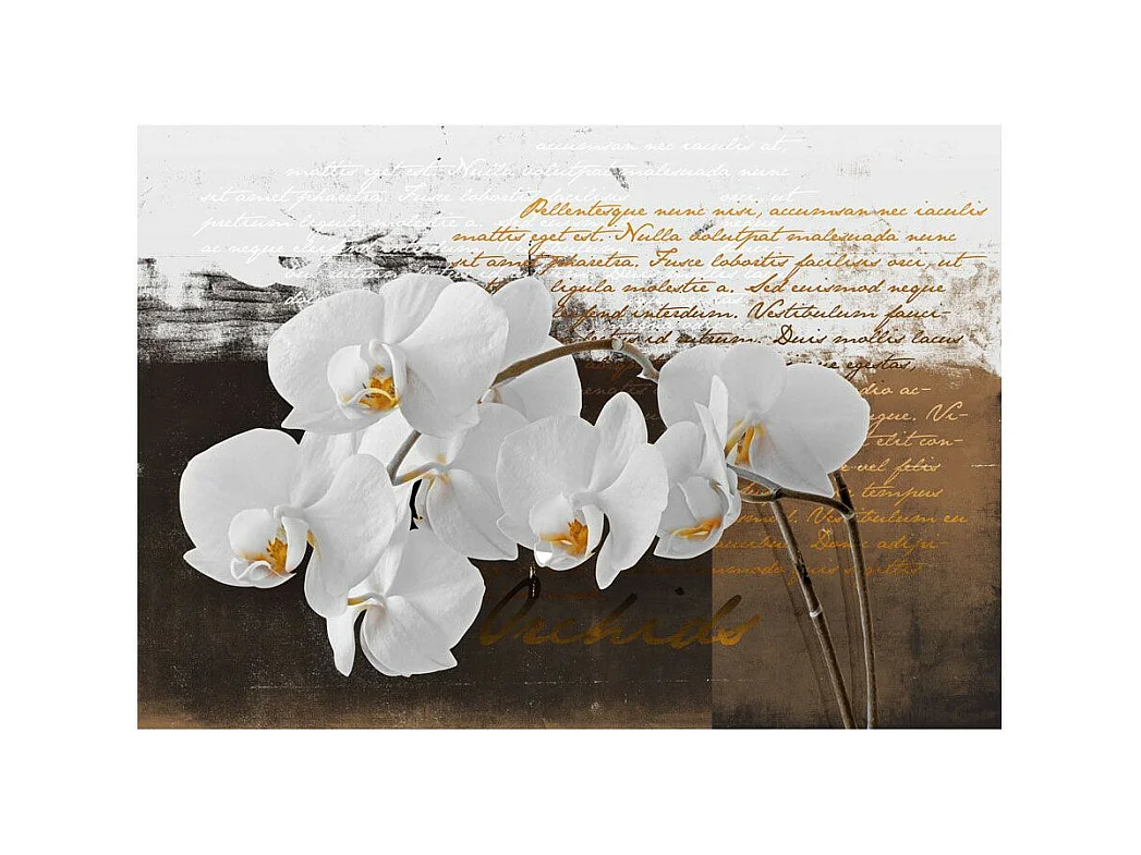 Papier Peint "Sentimental Thoughts" 105 x 150 cm