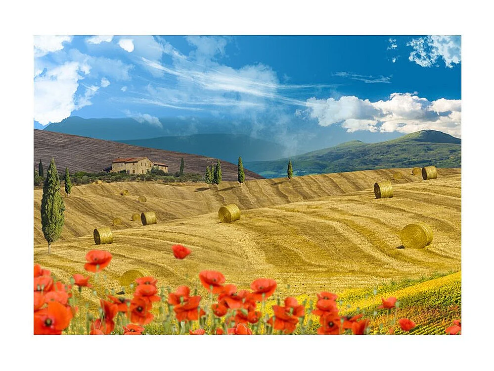 Papier Peint "Autumn Landscape" 210 x 300 cm