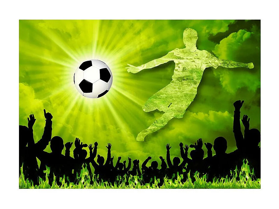 Papier Peint "Victory!" 245 x 350 cm